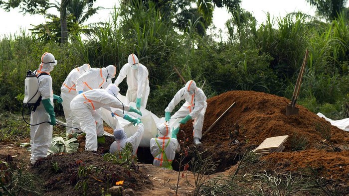 Kongo Deklarasikan Bebas dari Ebola Kawasan timur laut Kongo dinyatakan terbebas dari wabah Ebola. Meski begitu, sejumlah wilayah lain di Kongo masih terus berjibaku melawan virus mematikan itu.
