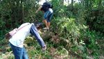 Penampakan Tumpukkan Batu Diduga Candi Ditemukan di Klaten