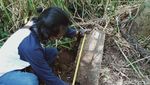 Penampakan Tumpukkan Batu Diduga Candi Ditemukan di Klaten