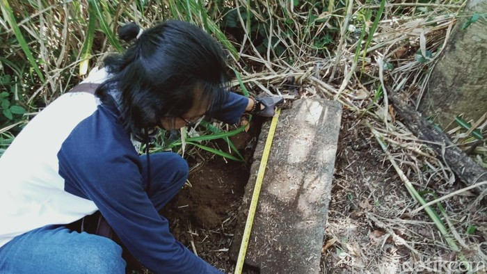 Penampakan Tumpukkan Batu Diduga Candi Ditemukan di Klaten Warga Desa Mranggen, Kecamatan Jatinom, Klaten menemukan ratusan batu diduga reruntuhan candi dan arca Nandi.