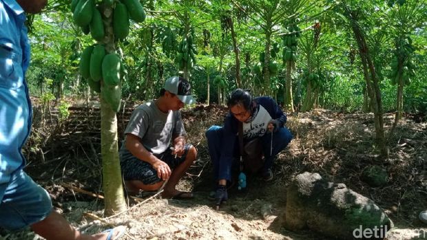 Penemuan batu diduga candi di Klaten