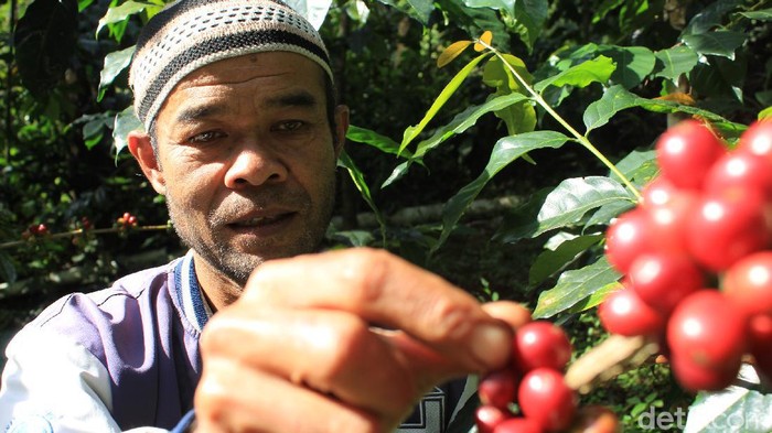 Petani kopi di Kabupaten Bandung