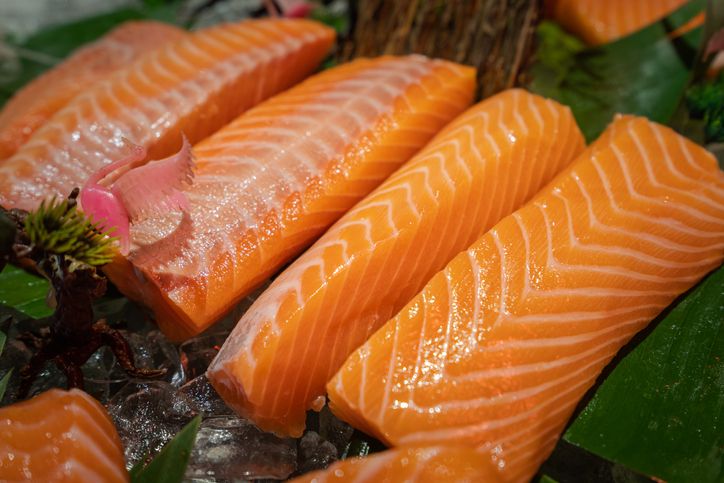 Salmon