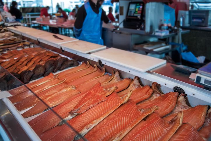 Salmon