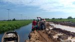 Tak Kunjung Diperbaiki, Jalan Rusak di Riau Ditanami Sawit