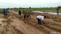 Belum adanya respons tersebut membuat warga melakukan aksi menanam sawit di badan jalan sebagai bentuk kekecewaan. Zul menyebut warganya kecewa dan menganggap pemerintah mengabaikan kondisi jalan tersebut.