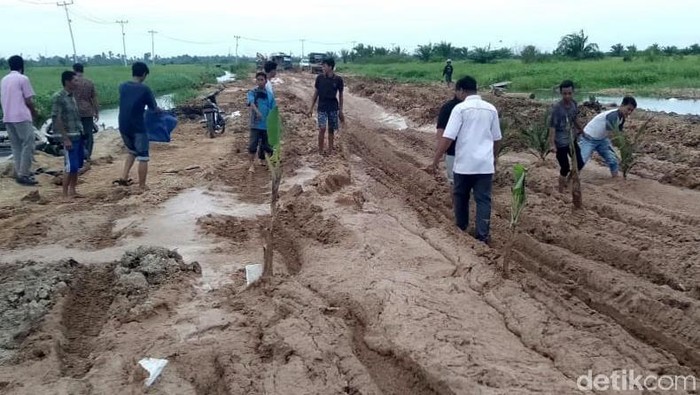 Tak Kunjung Diperbaiki, Jalan Rusak di Riau Ditanami Sawit Warga di Kabupaten Rokan Hulu, Riau, menanam pohon pisang hingga sawit di tengah jalan yang rusak. Hal itu dilakukan sebagai bentuk protes warga.