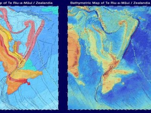 Zealandia Benua yang Tenggelam, Ternyata Tetangga Sundaland