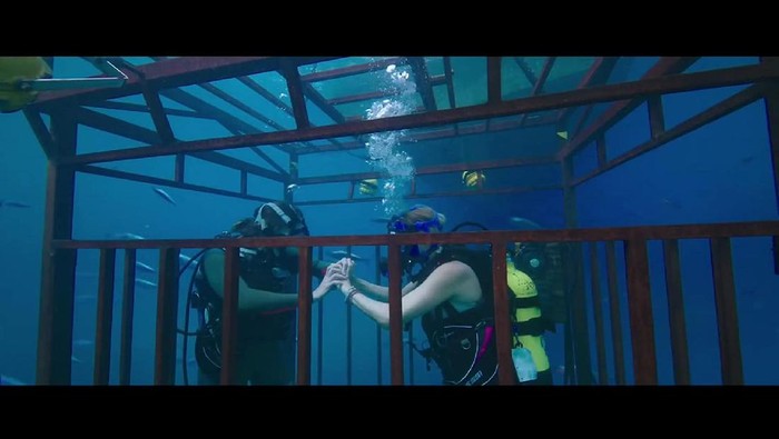 47 Meters Down