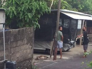 Pemilik Syok Anjingnya Mati Dipukul di Nusa Dua Bali, Tahu Kejadian dari Video