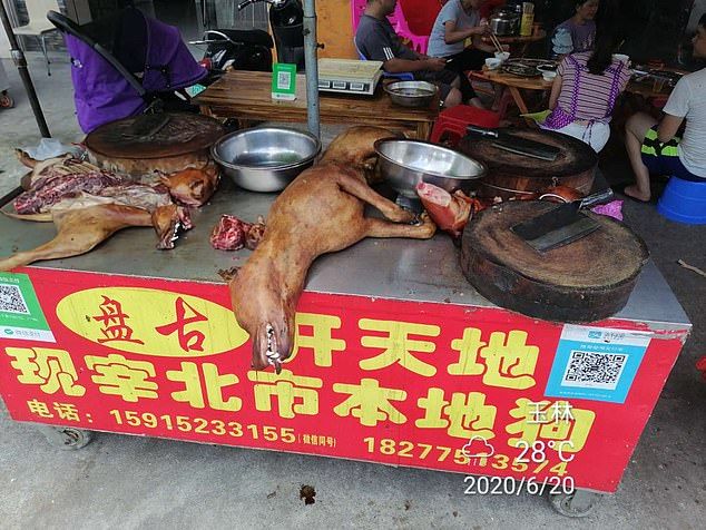 Daging Anjing di China