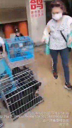 Daging Anjing di China