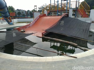 7 Fakta Viralnya Kolam Renang yang Sementara Jadi Kolam Lele