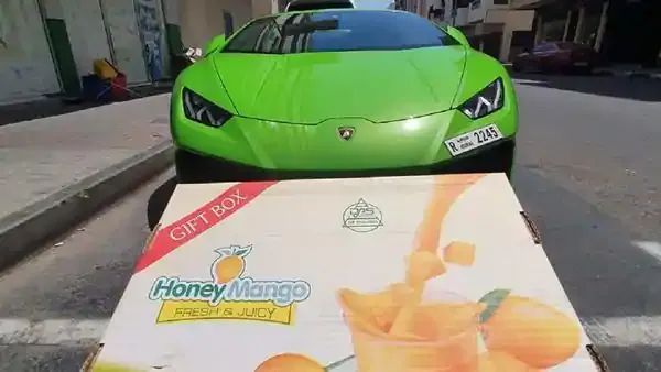 Mangga Diantar Pakai Lamborghini