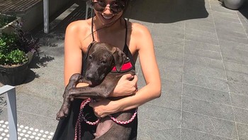 Sampai Juni 2020, Canva telah memiliki 30 juta pengguna aktif di seluruh dunia. Perkins di sisi lain juga ingin menyumbangkan bagian besar dari hartanya. Jika semua hal hanya tentang membangun kekayaan, maka hal itu adalah sesuatu yang paling tidak menginspirasi. Aneh rasanya ketika orang menyebut kami miliarder karena kami tidak pernah merasa uang itu milik kami, murni titipan, pungkas Perkins. Foto: istimewa