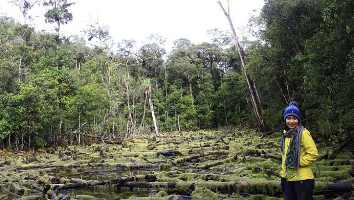 Pendakian Gunung Mekongga