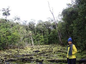 Pengalaman Ekstrem Mendaki Gunung Tertinggi di Sulawesi Tenggara