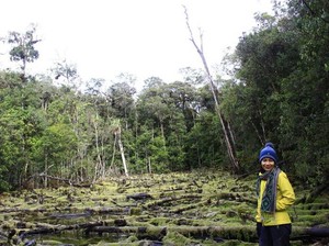 Pengalaman Ekstrem Mendaki Gunung Tertinggi di Sulawesi Tenggara