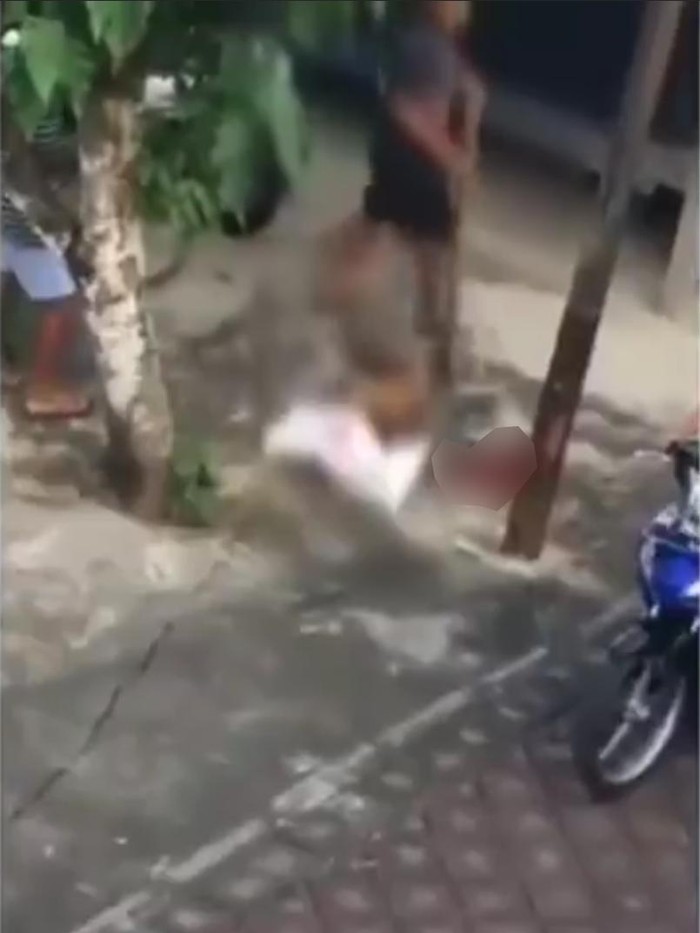 Penganiayaan sadis dan pencurian anjing di Nusa Dua, Bali (Screenshot video viral)