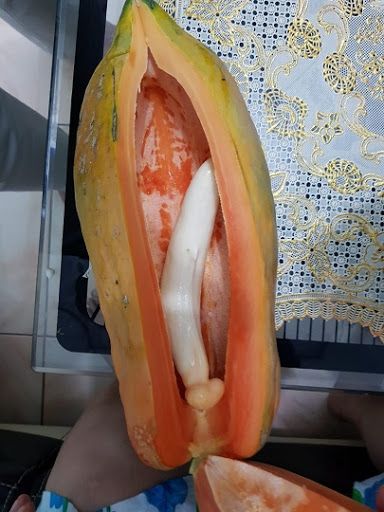 pepaya bentuk unik