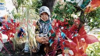 Siti Rokhimah (80) berjualan mainan kincir angin di taman Kota Klaten. Pantauan detikcom siang ini, Siti berjualan tanpa alas. Dia duduk di bawah pohon di sela taman yang berupa tanah, Jumat (26/6/2020). Belasan kincir angin berbentuk bunga matahari berbahan galah bambu dan plastik ditancapkan di tanah agar berputar. Sepintas mirip tanaman dengan bunga warna merah bagi pengguna jalan yang melihatnya.