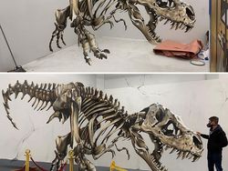 Ketika Bangunan Terbengkalai Disulap Dengan Seni Grafiti  3D