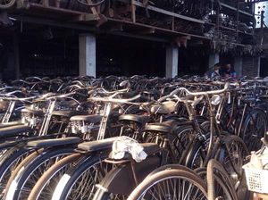 Hai Kamu yang Hobi Gowes, Ada Tempat Sewa Sepeda Lho di Borobudur