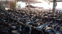 Pramono memang gila sepeda. Sebelum ada internet, ia hunting mencari sepeda di sejumlah pasar seperti Kebumen, Klaten, Solo, Kroya, Jawa Timur hingga Jawa Barat. Sekali beli sekitar 50-an sepeda, dengan diangkut truk. (Eko Susanto/detikcom)