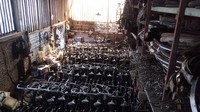 Pramono mengakui, jika yang meminjam sepedanya bukan hanya wisatawan saja. Sejumlah instansi, terkadang datang meminjam dalam jumlah banyak. Bahkan dia melayani pengiriman hingga Semarang, Jogja, Bali maupun kota lainnya. (Eko Susanto/detikcom)
