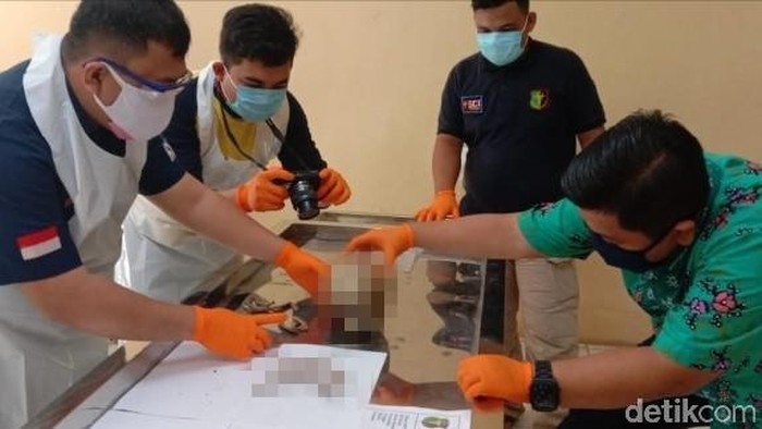 Tim Forensik Dokpol Biddokkes Polda Sulawesi Selatan memeriksa kerangka manusia yang ditemukan pangkep.