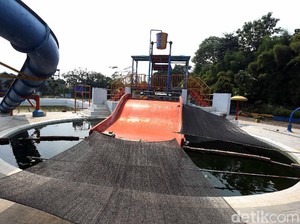 Kolam Renang yang Viral Jadi Ternak Lele Sempat Berjaya di Masanya