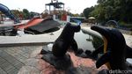 Miris! Waterpark ini Jadi Kolam Lele Gegara Corona