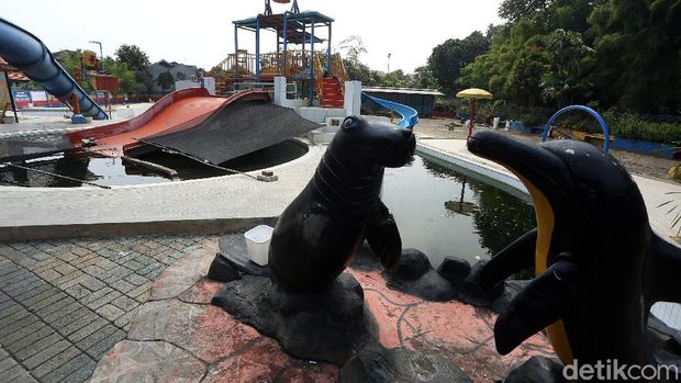 Pandemi COVID-19 membuat sejumlah usaha di Indonesia tak bisa beroperasi. Renang Fun Park Water Adventure di Bogor pun beralihfungi menjadi kolam ikan lele.