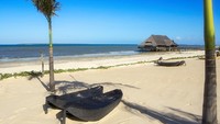 Tanzania juga punya pulau-pulau yang dikelilingi pantai cantik, salah satunya Pulau Mafia. Airnya yang bersih membuatnya menjadi destinasi favorit wisatawan untuk melakukan scuba diving atau snorkeling. Di sana traveler akan menemukan gugusan koral dan ikan-ikan tropis. Tempat ini juga menjadi lokasi budidaya kura-kura hijau yang langka.(Foto: iStock)