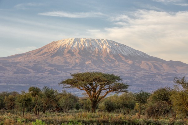 1. Gunung Kilimanjaro Di Tanzania terdapat salah satu gunung tertinggi di dunia yakni Gunung Kilimanjaro. Tinggi gunung ini mencapai 5,895 meter di atas permukaan laut. Saking tingginya, puncaknya sampai tertutup es! Traveler dapat mendaki ke Puncak Kilimanjaro melalui 7 jalur, yakni Machame, Marangu, Rongai, Lemosho, Umbwe, Shira, dan Mweka. (Foto: iStock) 1. Gunung Kilimanjaro Di Tanzania terdapat salah satu gunung tertinggi di dunia yakni Gunung Kilimanjaro. Tinggi gunung ini mencapai 5,895 meter di atas permukaan laut. Saking tingginya, puncaknya sampai tertutup es! Traveler dapat mendaki ke Puncak Kilimanjaro melalui 7 jalur, yakni Machame, Marangu, Rongai, Lemosho, Umbwe, Shira, dan Mweka. (Foto: iStock)
