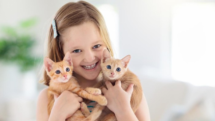 Kenapa Kucing Tidak Mau Makan? Ketahui Penyebab dan Cara Mengatasinya