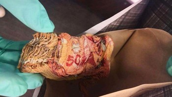 CAD 5.000 yang rusak karena ingin melakukan proses disinfektan dengan cara... dimasukkan ke microwave. Foto: jdk via Bored Panda