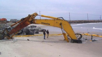 Kalau sudah begini harus gimana ya... Foto: Turtlechampy via Bored Panda