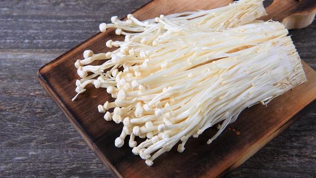 Cara budi daya jamur enoki