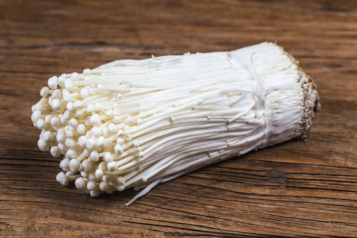Cara budi daya jamur enoki