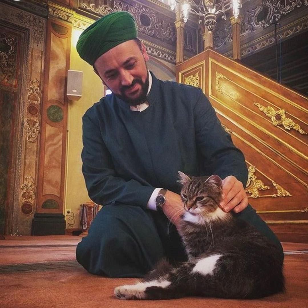 Imam pecinta kucing di Turki.