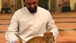 Potret Masjid yang Jadi Rumah Kucing Liar