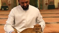 Walau ada begitu banyak kucing di jalanan, tapi mereka tak selalu punya makanan dan tempat tinggal nyaman untuk berteduh. Di sinilah peran Imam Mustafa hadir untuk menyediakan rumah bagi para kucing di masjid tempatnya berkarya (Instagram)