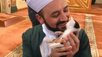 Salah satu yang paling lucu, pernah ada satu kucing betina yang disebut begitu menyukai masjid tempat Imam Mustafa. Saking sukanya, sang ibu kucing bahkan sampai membawa serta beberapa anaknya masuk ke dalam masjid (Instagram)