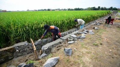 Ini Dia Program Antipengangguran Imbas Pandemi Corona
