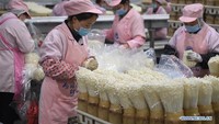 Salah satu jamur yang diproduksi di pabrik ini adalah jamur enoki yang saat ini ramai diperbincangkan di Tanah Air. Foto: Dok. Xinhua/Ji Chunpeng
