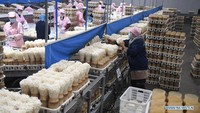 Penarikan dan pemusnahan ini dilakukan berdasarkan peringatan dari International Food Safety Authority Network (INFOSAN) yang merupakan jaringan otoritas keamanan pangan internasional di bawah FAO/WHO melalui Indonesia Rapid Alert System for Food and Feed (INRASFF) nomor IN.DS.2020.09.02 pada tanggal 15 April 2020 lalu. Foto: Dok. Xinhua/Ji Chunpeng