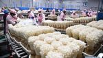 Mengintip Jeroan Pabrik Jamur Enoki cs di China