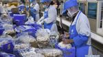 Mengintip Jeroan Pabrik Jamur Enoki cs di China