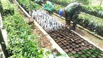 Menjaga Daerah Aliran Sungai Citarum
